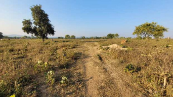  Agricultural Land for Sale in Maroli, Navsari