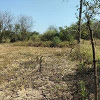  Agricultural Land for Sale in Umbergaon, Valsad