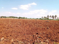  Agricultural Land for Sale in Dharampur, Valsad