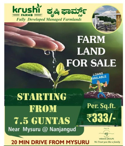 1 BHK Farm House 8167 Sq.ft. for Sale in Nanjangud, Mysore