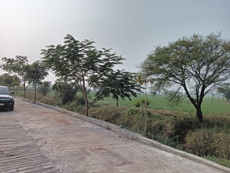  Agricultural Land 5500 Sq.ft. for Sale in Khajuri Sadak, Bhopal