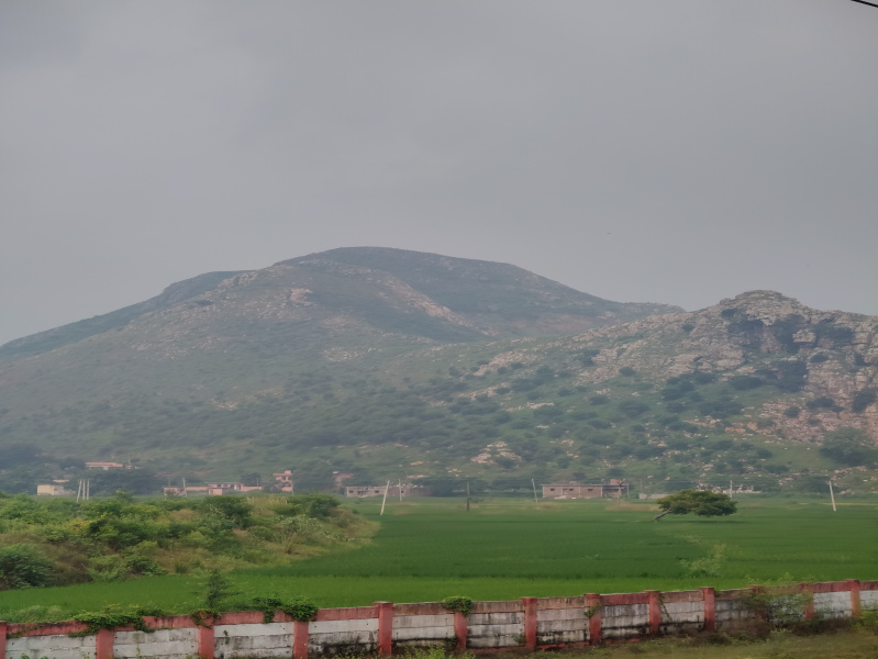  Residential Plot 1156 Sq.ft. for Sale in Rajgir, Nalanda