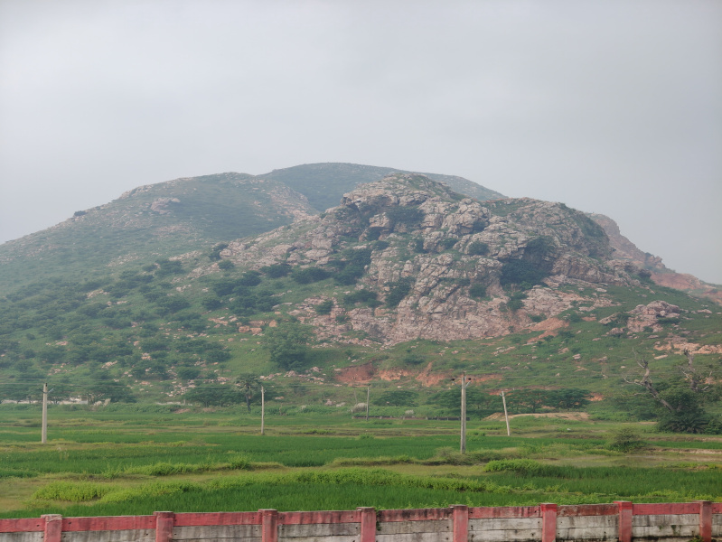  Residential Plot 1156 Sq.ft. for Sale in Rajgir, Nalanda