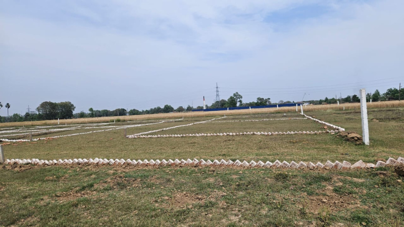  Residential Plot 1000 Sq.ft. for Sale in Bikram, Patna