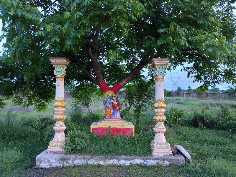  Residential Plot 1650 Sq.ft. for Sale in Sabuj Nagar, Durgapur