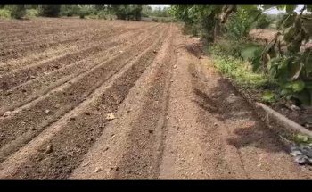  Agricultural Land for Sale in Amravati Road, Nagpur