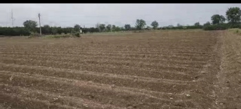  Agricultural Land for Sale in Nimji, Nagpur