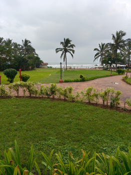  Agricultural Land for Sale in Mihan, Nagpur