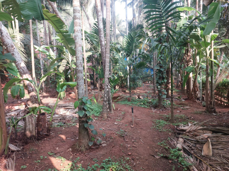 2 BHK 10 Guntha House for Sale in Honnavar, Uttara Kannada