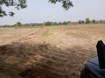  Agricultural Land for Rent in Sohna, Gurgaon