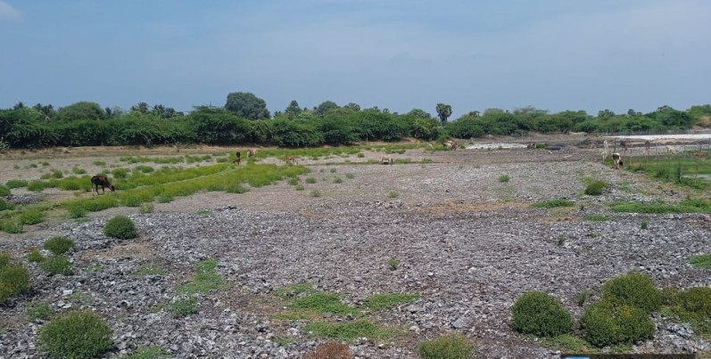  Industrial Land 3 Acre for Sale in Padirikuppam, Cuddalore