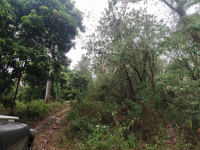  Agricultural Land for Sale in Shenkottai, Tirunelveli