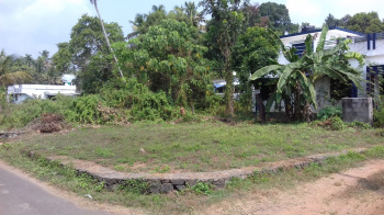  Residential Plot for Sale in Irinjalakuda, Thrissur