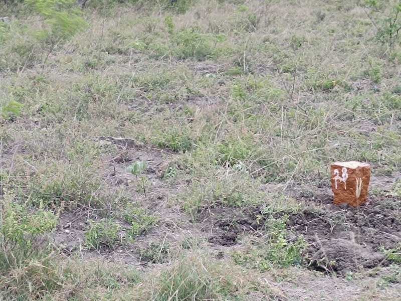  2350 Sq.ft. Residential Plot for Sale in Saravanampatti, Coimbatore