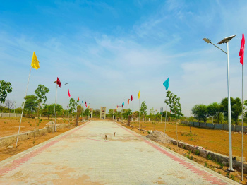  Agricultural Land for Sale in Diggi Road, Jaipur