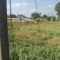  Agricultural Land for Sale in Ammapettai, Thanjavur