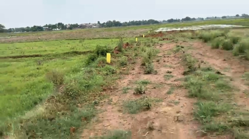  Residential Plot 1200 Sq.ft. for Sale in Bihta, Patna