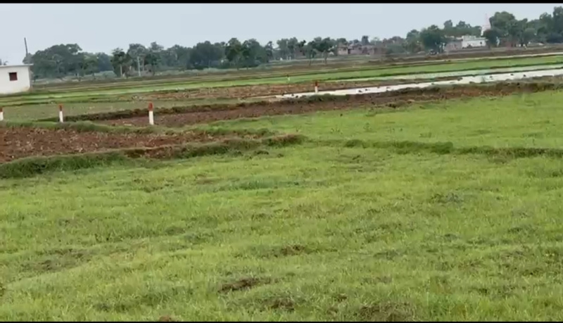  Residential Plot 1200 Sq.ft. for Sale in Bihta, Patna
