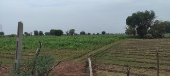  Agricultural Land for Sale in Vitthal Press Road, Surendranagar