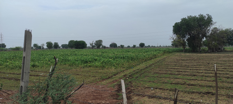  Agricultural Land 2 Hectares for Sale in Vitthal Press Road, Surendranagar