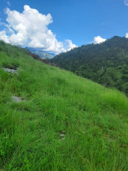  Residential Plot for Sale in Chamba, Tehri Garhwal