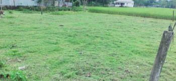  Agricultural Land for Sale in New Town, Cooch Behar