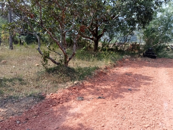  Agricultural Land for Sale in Kumta, Uttara Kannada