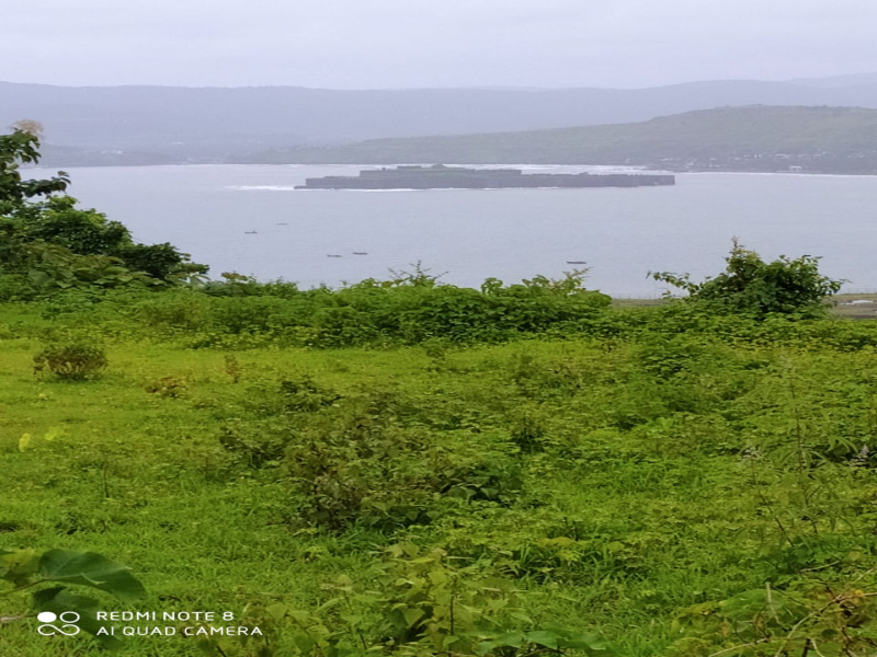  Agricultural Land 100 Guntha for Sale in Murud, Raigad