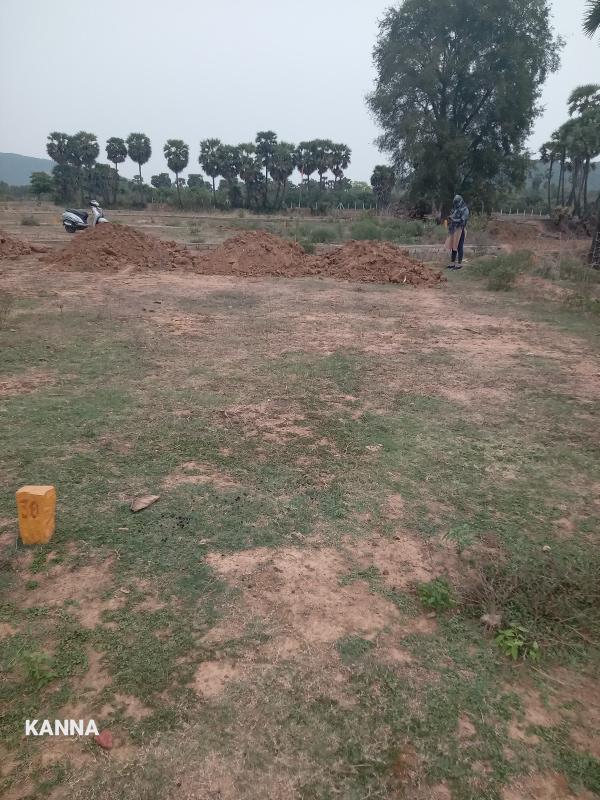  Residential Plot 160 Sq.ft. for Sale in Badepalle, Vizianagaram