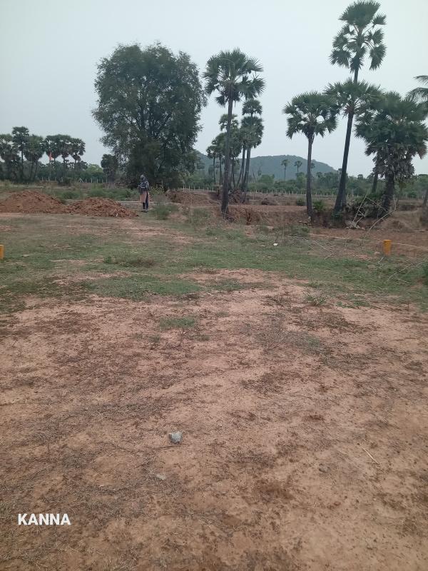  Residential Plot 160 Sq.ft. for Sale in Badepalle, Vizianagaram