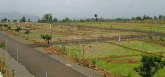  Agricultural Land for Sale in Barwala Road, Dera Bassi