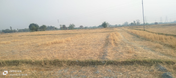  Agricultural Land for Sale in Dohrighat, Mau (Maunath Bhanjan)