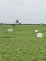  Agricultural Land for Sale in Pulipakkam, Chengalpattu