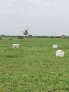  Agricultural Land for Sale in Alapakkam, Chengalpattu