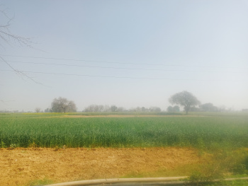  Agricultural Land for Sale in Taoru, Gurgaon