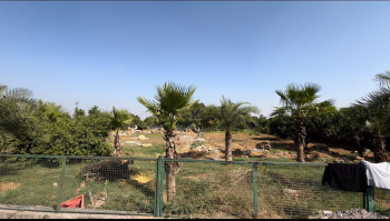 1 RK Farm House for Rent in Manesar, Gurgaon