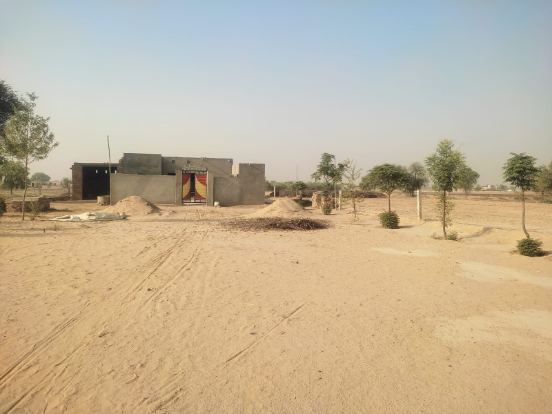  Residential Plot 10890 Sq.ft. for Sale in Rawatsar, Hanumangarh