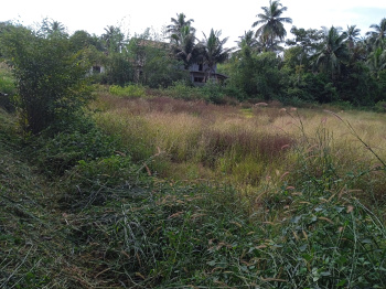  Agricultural Land for Sale in Velim, Goa