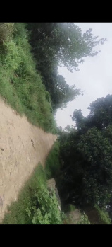  Agricultural Land for Sale in Siana, Bulandshahr
