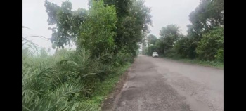  Agricultural Land for Sale in Hasanpur, Amroha