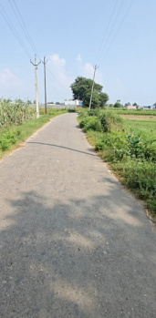  Agricultural Land for Sale in Simbhaoli, Hapur
