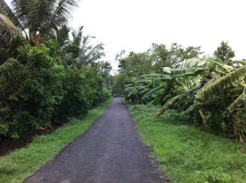  Agricultural Land for Sale in Garhmukteshwar, Hapur