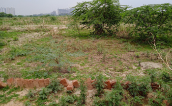  Residential Plot for Sale in Sector 149, Greater Noida