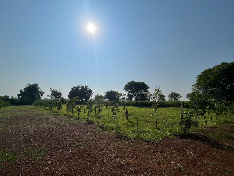  Agricultural Land 7400 Sq.ft. for Sale in Dongargaon, Rajnandgaon