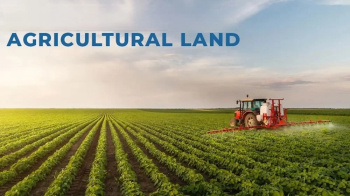  Agricultural Land for Sale in Bhuna, Fatehabad