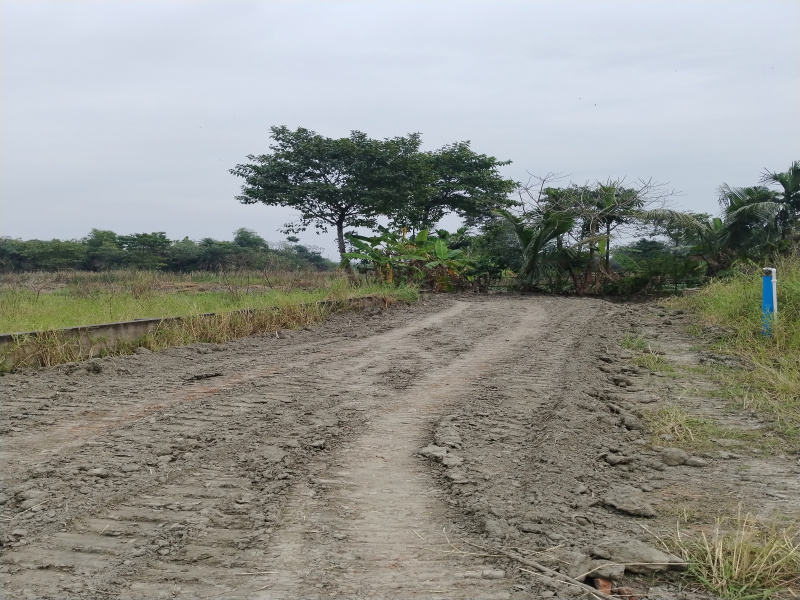  Residential Plot 1440 Sq.ft. for Sale in Joka, Kolkata