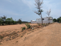Residential Plot for Sale in Nanjikottai, Thanjavur