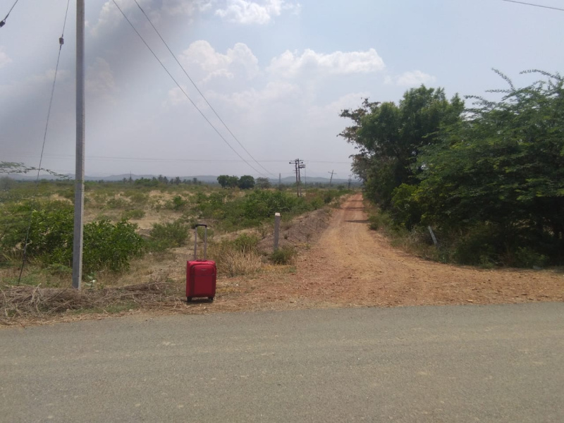  115000 Sq.ft. Agricultural/Farm Land for Sale in Sira, Tumkur