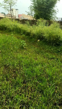  Residential Plot for Sale in Bariatu, Ranchi