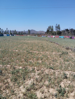 Agricultural Land for Sale in Aligai, Shahjahanpur